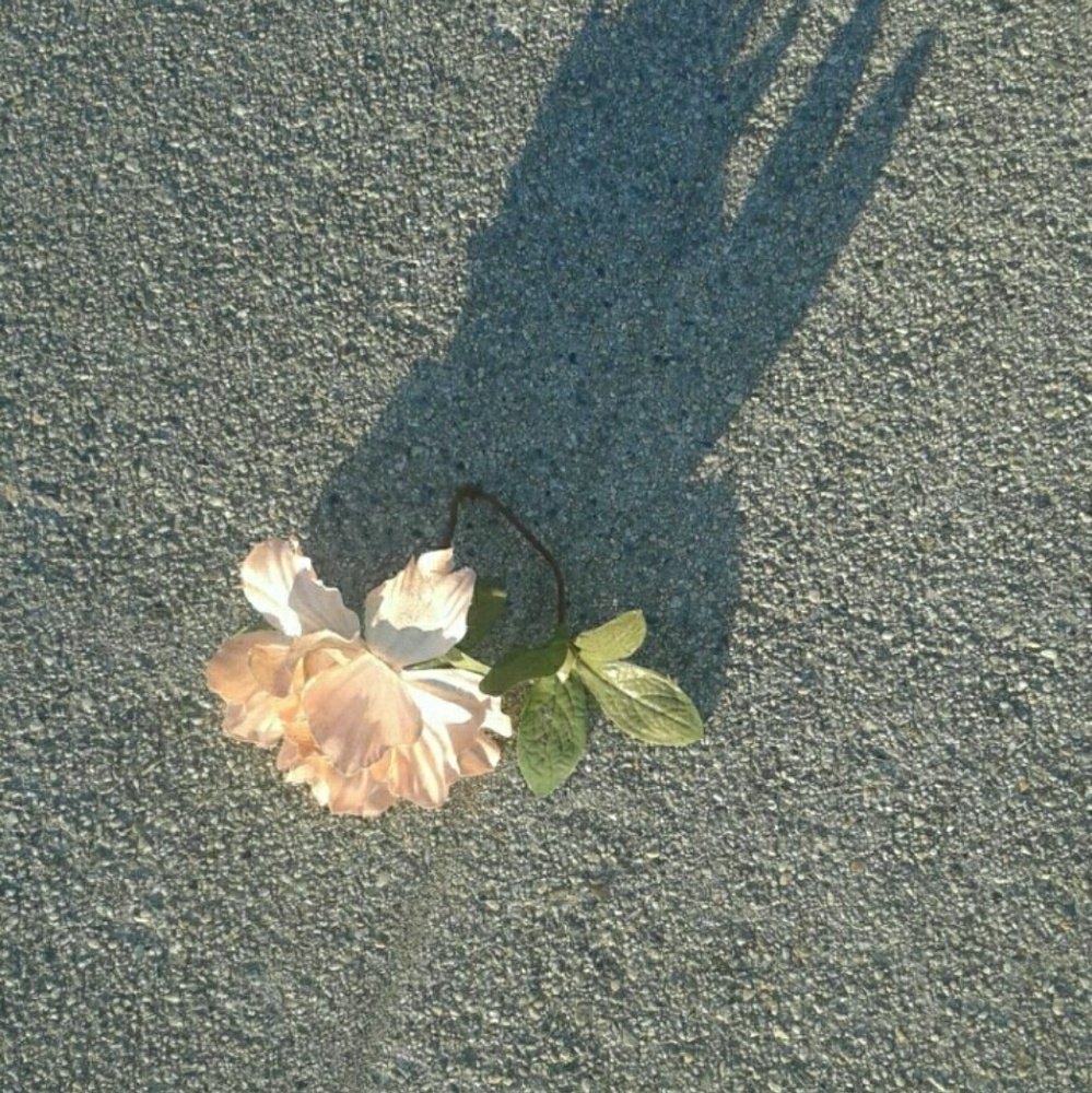 Meet your Posher, Jossie